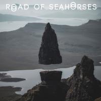 Road of Seahorses