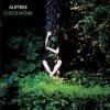 Sortie du nouvel album d'Alif Tree le 16 mars 2009