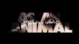 Vido clip : As an animal [Official video]
