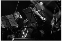 Lullaby orchestra