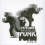 Future World Funk - Futur World Funk On The Run