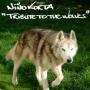 Nino Korta - Tribute To The Wolves