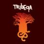 Tribeqa - Tribeqa