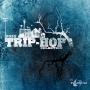 Various Artists (Abstract hip-hop - Trip-hop - Downtempo) - 2010 Trip-hop.net Selection