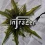 InfraZer - Invaders riddim