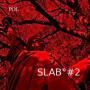 Pol - SLAB​#​2