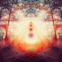 Monometric