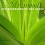 Mr. Moods - The Fragility Of The World - Nuages Records