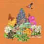 Monster Rally - Escape to the Cloud Forest - Gold Robot Records