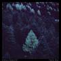 Andrew Rothschild - Forest Blue - Loci Records