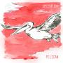 Pelican