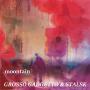 Grosso Gadgetto - Moontain (Grosso Gadgetto & Stalsk) (FOOLISH RECORDS)