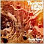 Easy Velvet - Tropical Mad House