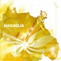 Magnolia - Intravenus