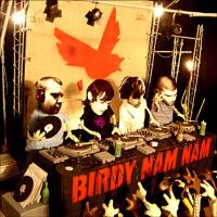 Birdy Nam Nam