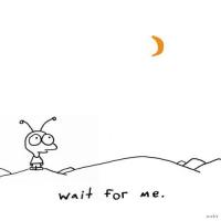 Wait for me