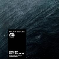Lure of Little Voices (Inspired by 'The Outlaw Ocean' a book by Ian Urbina)