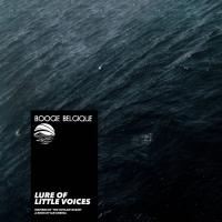 Lure of Little Voices (Inspired by 'The Outlaw Ocean' a book by Ian Urbina)