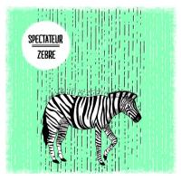 Zebre