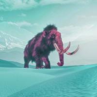 Fluorescent Mastodon Alliance