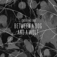 Between a Dog and a Wolf