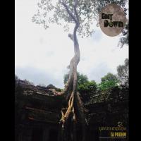 Ta Prohm