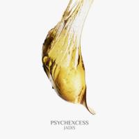 Psychexcess - jadis