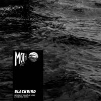 Blackbird (Inspired by 'The Outlaw Ocean' a book by Ian Urbina)