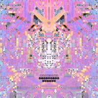 Circadian Rhythm