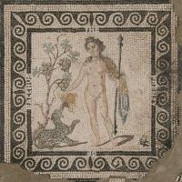 The Frenzy Of Bacchus