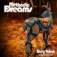 Methodic Dreams