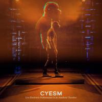 Live Electronic Performance in an Anechoic Chamber