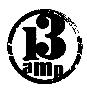 13 Amp