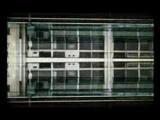 Vido clip : She Moves She